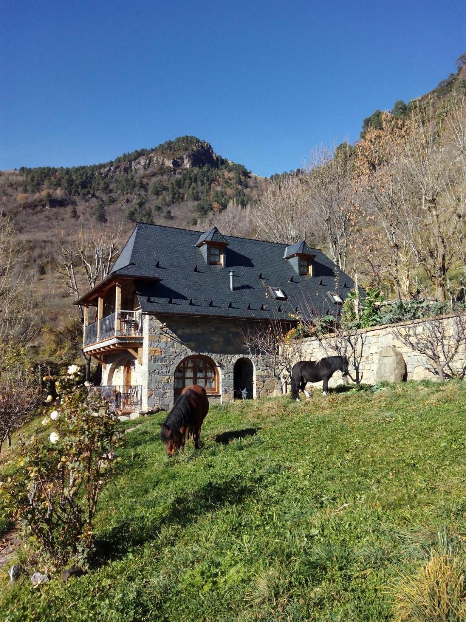 Casa Rural Fontamil Gistaín Dış mekan fotoğraf